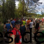 Der Start des Teutoburger Waldmarathons 2017. Ein großer Haufen wartet auf den Start. (Copyright: Daniel Katzberg)