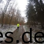 Km 4,5 geht es immer weiter leicht bergauf im Wald. (Copyright: Daniel Katzberg)